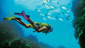 Snorkeling and Diving Spots in Jamaica 